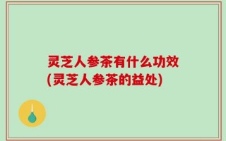 灵芝人参茶有什么功效(灵芝人参茶的益处)