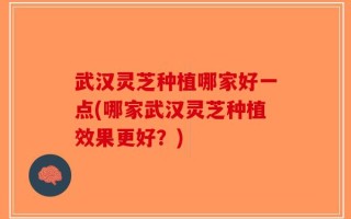 武汉灵芝种植哪家好一点(哪家武汉灵芝种植效果更好？)