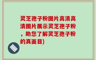 灵芝孢子粉图片高清高清图片展示灵芝孢子粉，助您了解灵芝孢子粉的真面目)