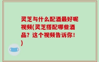 灵芝与什么配酒最好呢视频(灵芝搭配哪些酒品？这个视频告诉你！)