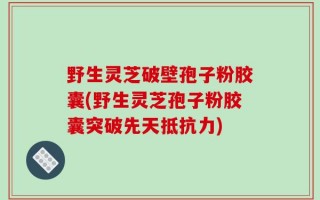 野生灵芝破壁孢子粉胶囊(野生灵芝孢子粉胶囊突破先天抵抗力)