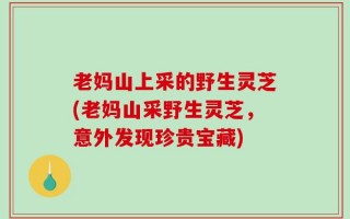 老妈山上采的野生灵芝(老妈山采野生灵芝，意外发现珍贵宝藏)