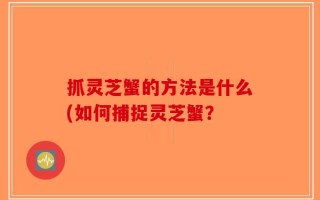 抓灵芝蟹的方法是什么(如何捕捉灵芝蟹？