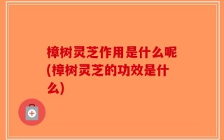 樟树灵芝作用是什么呢(樟树灵芝的功效是什么)