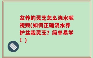 盆养的灵芝怎么浇水呢视频(如何正确浇水养护盆栽灵芝？简单易学！)