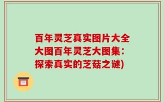 百年灵芝真实图片大全大图百年灵芝大图集：探索真实的芝菇之谜)