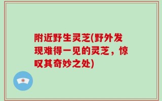 附近野生灵芝(野外发现难得一见的灵芝，惊叹其奇妙之处)