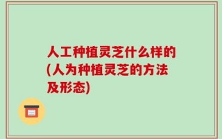 人工种植灵芝什么样的(人为种植灵芝的方法及形态)