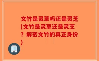 文竹是灵草吗还是灵芝(文竹是灵草还是灵芝？解密文竹的真正身份)