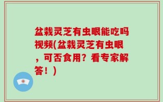 盆栽灵芝有虫眼能吃吗视频(盆栽灵芝有虫眼，可否食用？看专家解答！)