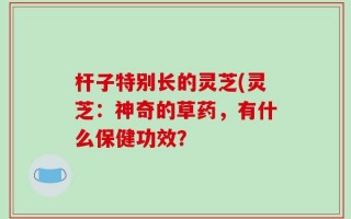 杆子特别长的灵芝(灵芝：神奇的草药，有什么保健功效？