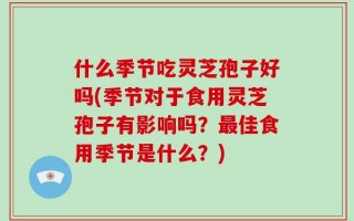 什么季节吃灵芝孢子好吗(季节对于食用灵芝孢子有影响吗？最佳食用季节是什么？)