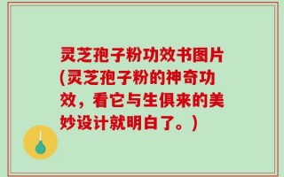 灵芝孢子粉功效书图片(灵芝孢子粉的神奇功效，看它与生俱来的美妙设计就明白了。)