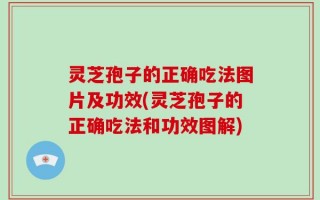 灵芝孢子的正确吃法图片及功效(灵芝孢子的正确吃法和功效图解)