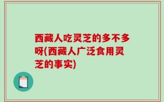 西藏人吃灵芝的多不多呀(西藏人广泛食用灵芝的事实)