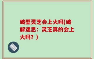 破壁灵芝会上火吗(破解迷思：灵芝真的会上火吗？)