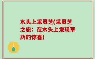 木头上采灵芝(采灵芝之旅：在木头上发现草药的惊喜)