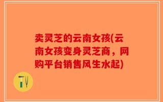 卖灵芝的云南女孩(云南女孩变身灵芝商，网购平台销售风生水起)