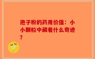 孢子粉的药用价值：小小颗粒中藏着什么奇迹？