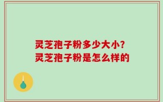 灵芝孢子粉多少大小？灵芝孢子粉是怎么样的