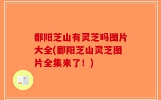 鄱阳芝山有灵芝吗图片大全(鄱阳芝山灵芝图片全集来了！)