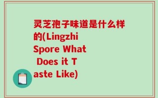 灵芝孢子味道是什么样的(Lingzhi Spore What Does it Taste Like)