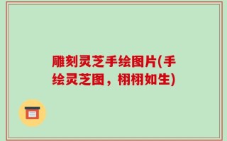 雕刻灵芝手绘图片(手绘灵芝图，栩栩如生)