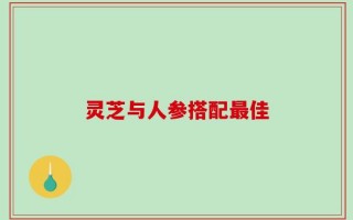 灵芝与人参搭配最佳
