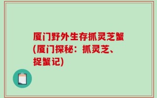 厦门野外生存抓灵芝蟹(厦门探秘：抓灵芝、捉蟹记)