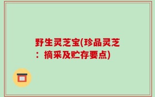 野生灵芝宝(珍品灵芝：摘采及贮存要点)