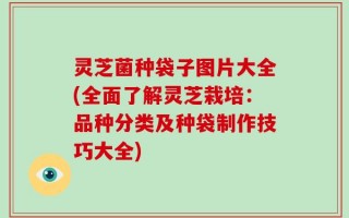 灵芝菌种袋子图片大全(全面了解灵芝栽培：品种分类及种袋制作技巧大全)