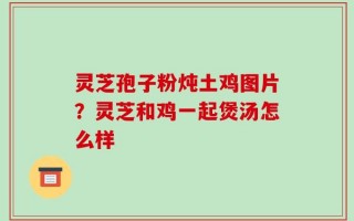 灵芝孢子粉炖土鸡图片？灵芝和鸡一起煲汤怎么样