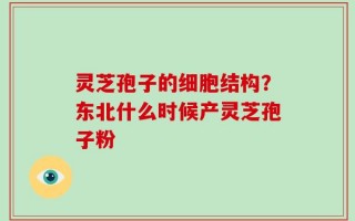灵芝孢子的细胞结构？东北什么时候产灵芝孢子粉