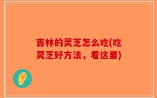 吉林的灵芝怎么吃(吃灵芝好方法，看这里)