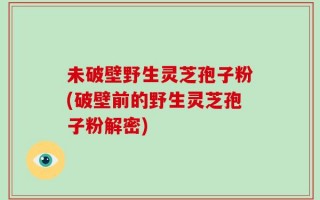 未破壁野生灵芝孢子粉(破壁前的野生灵芝孢子粉解密)