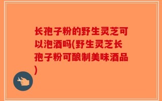 长孢子粉的野生灵芝可以泡酒吗(野生灵芝长孢子粉可酿制美味酒品)