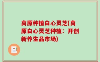 高原种植白心灵芝(高原白心灵芝种植：开创新养生品市场)