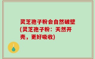 灵芝孢子粉会自然破壁(灵芝孢子粉：天然开壳，更好吸收)