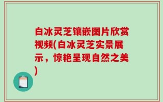 白冰灵芝镶嵌图片欣赏视频(白冰灵芝实景展示，惊艳呈现自然之美)
