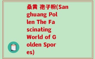 桑黄 孢子粉(Sanghuang Pollen The Fascinating World of Golden Spores)