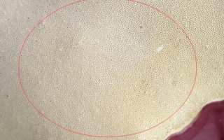 灵芝孢子粉是什么东西？