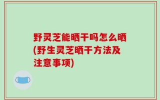 野灵芝能晒干吗怎么晒(野生灵芝晒干方法及注意事项)