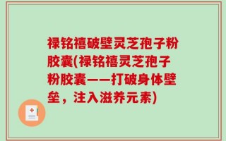 禄铭禧破壁灵芝孢子粉胶囊(禄铭禧灵芝孢子粉胶囊——打破身体壁垒，注入滋养元素)