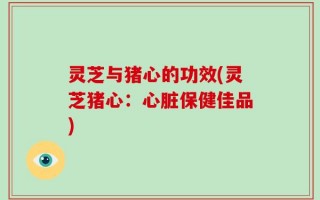 灵芝与猪心的功效(灵芝猪心：心脏保健佳品)