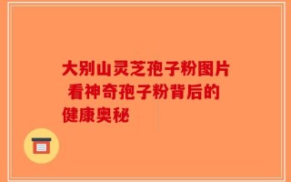大别山灵芝孢子粉图片 看神奇孢子粉背后的健康奥秘