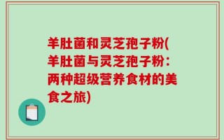 羊肚菌和灵芝孢子粉(羊肚菌与灵芝孢子粉：两种超级营养食材的美食之旅)