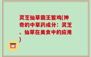 灵芝仙草霸王鳖鸡(神奇的中草药成分：灵芝、仙草在美食中的应用)