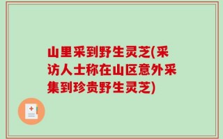 山里采到野生灵芝(采访人士称在山区意外采集到珍贵野生灵芝)