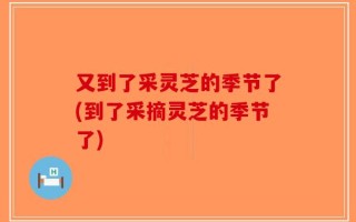 又到了采灵芝的季节了(到了采摘灵芝的季节了)