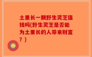 土里长一颗野生灵芝值钱吗(野生灵芝是否能为土里长的人带来财富？)